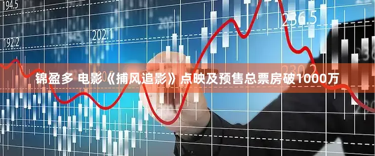 锦盈多 电影《捕风追影》点映及预售总票房破1000万